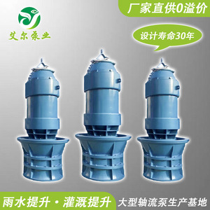 <b>Submersible</b> Mixed Flow <b>Pump</b> For Irrigation And Water Transfer Energy Saving Design - Product Image 3