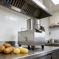 Industriële groente- en fruitwasmachine, schilmachine voor zoete aardappel en gember, was- en schilmotor voor fruitverwerkingsbedrijven