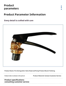 Trung Quốc Nhà sản xuất bột khô 3-12kg Bình chữa cháy đầu thiết bị & phụ kiện bình chữa cháy van - Product Image 5