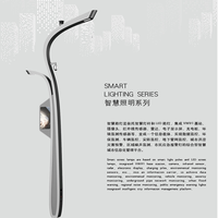 Éclairage intelligent personnalisable et série d'éclairage solaire lampadaires: avec droits de propriété intellectuelle indépendants