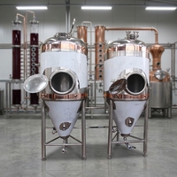 Fermenteur Conique Personnalisable DYE avec Chemise de Refroidissement en Glycol, Double Paroi en Acier Inoxydable, Trappe Latérale/Superieure, pour Usage Domestique et Traitement de l'Alcool