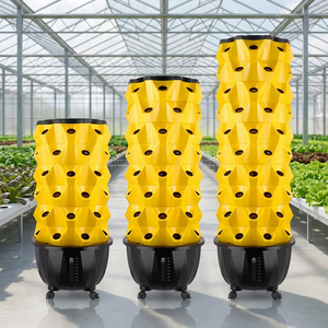 Systèmes <span class=keywords><strong>de</strong></span> <span class=keywords><strong>culture</strong></span> hydroponique et aéroponique pour la maison : <span class=keywords><strong>Tour</strong></span> hydroponique pour ananas et fraises - Product Image 1