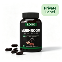 Capsules de Complexe Adaptogène de Champignons Cordyceps, Reishi, Crinière de Lion, Chaga 500mg 90 gélules – Énergie et Soutien Immunitaire – Marque Privée OEM
