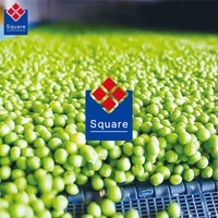Grote capaciteit, eenvoudig onderhoud en bediening, IQF tunnelvriezer voor groenten en fruit
