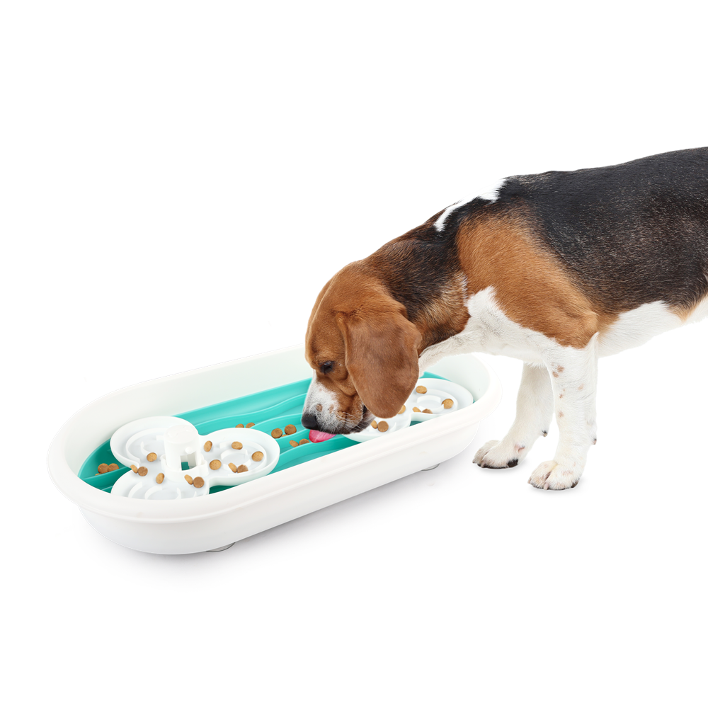 Chargeur de puzzle amusant à plusieurs niveaux