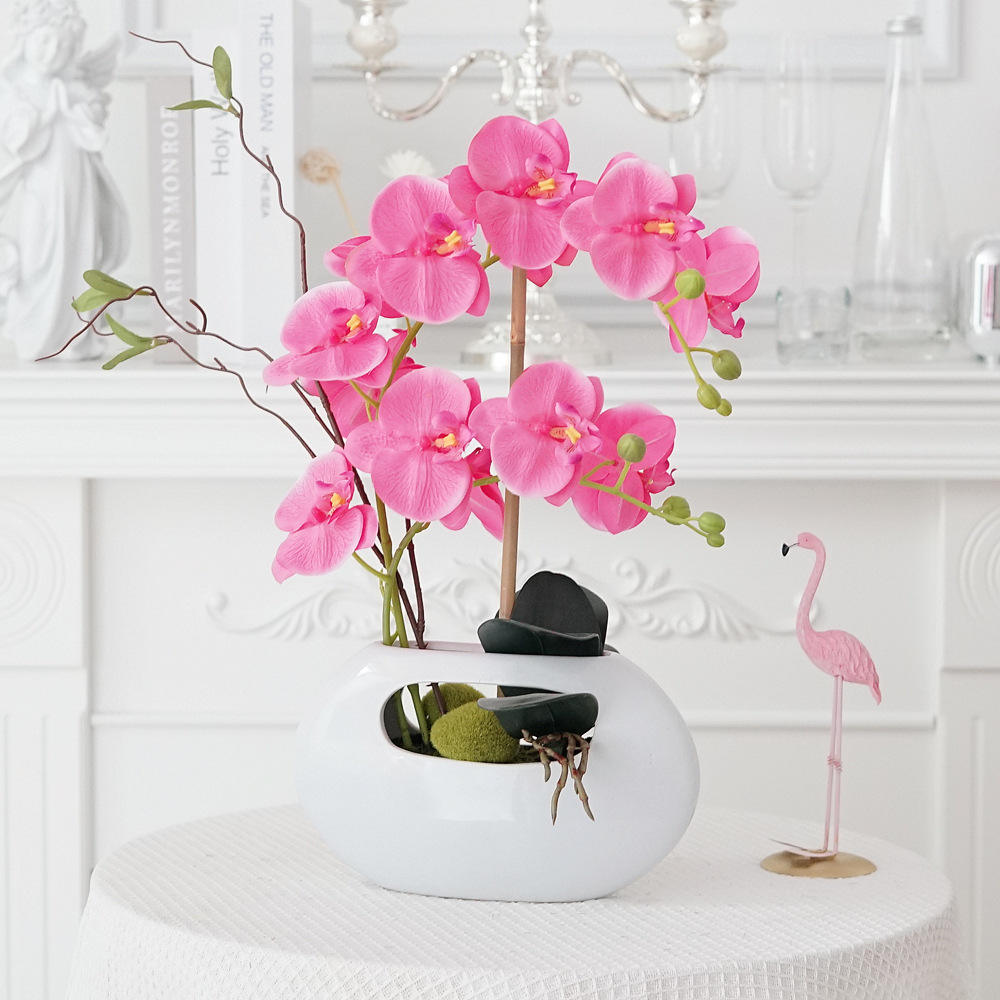 กุหลาบต้นแมดเด