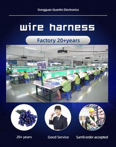 Assemblaggio di cavi a 2 Pin realizzati in Cina con terminale a lama per automobili di elettronica di cablaggio per automobili - Product Image 4