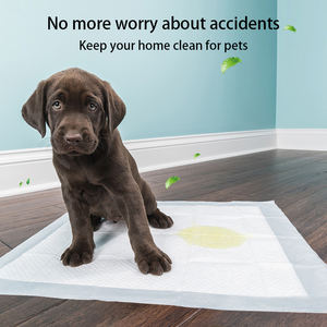 ペット用おむつ漏れ止めピーパッドソフト表面脱臭水吸収通気性マルチペット用メーカー - Product Image 5