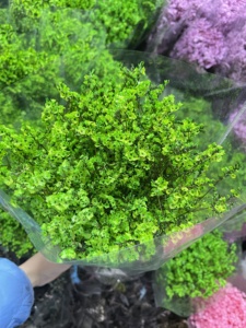 <span class=keywords><strong>Fleurs</strong></span> <span class=keywords><strong>séchées</strong></span> Plantes <span class=keywords><strong>Fleurs</strong></span> conservées Limonium <span class=keywords><strong>Bouquet</strong></span> d'herbe cristal Fleur sèche pour la décoration intérieure - Product Image 3
