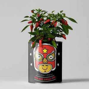 Kits de plantation en gros, pots personnalisés, kit de culture de plantes à <span class=keywords><strong>faire</strong></span> soi-même, kit de plantes d'intérieur, pot à herbes, cadeau de jardinage pour enfants - Product Image 5