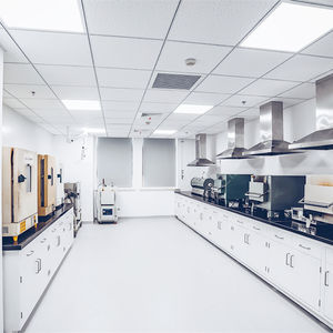 Banco y equipo de laboratorio de gama alta, banco de trabajo ultra limpio, biología, química, tejido, mesa de laboratorio, muebles para laboratorios de química - Product Image 2