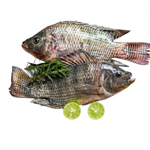 VAN BACH TUNG Premium Whole Frozen Roughy 1kg High Quality Price High Nutritional Value 100% Natural <b>Vacuum</b> VN01 - Product Image 1