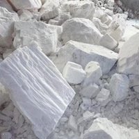 Poudre fine naturelle de carbonate de calcium poussière de roche calcaire antiacide pour les projets de bricolage à la maison pour la texture de la peinture à la craie