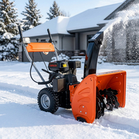Souffleuse à neige professionnelle 6,5 CV, machine à éliminer la neige, balayeuse à neige pas chère à vendre
