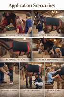 Appareil orthopédique de grande taille pour le dos de cheval 660nm 850nm photothérapie infrarouge rouge LED dispositif de thérapie équine à lumière rouge