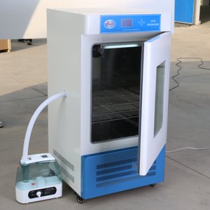 Nhà Máy bán hàng trực tiếp mjp loạt hiển thị kỹ thuật số nấm lồng ấp mô hình MJP-450 tuyệt vời tĩnh nhiệt thiết bị cho các phòng thí nghiệm - Product Image 2