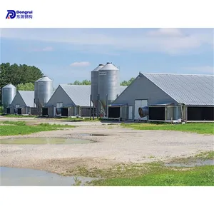 poultry shed prefabricated chicken house large chicken egg poultry farm