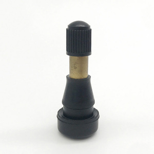 Pièces automobiles : Valve de pneu TR600HP en laiton à clipser, haute performance - Product Image 1
