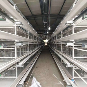 <span class=keywords><strong>Poulailler</strong></span> commercial en acier de type H Cage de batterie de volaille neuve d'occasion pour <span class=keywords><strong>poules</strong></span> pondeuses disponible à la vente en Algérie - Product Image 3