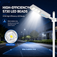 Lampes solaires commerciales pour extérieur, étanches IP65, 100W 200W 300W, coque ABS, lampadaire solaire LED tout-en-un avec 2 ans de garantie