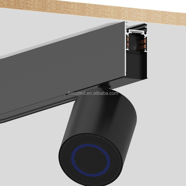 Smart Wireless 10W High Quality Track Light Speaker 48V Powered With Built-in bluetooth 5.4 and HD Audio for Home Theater