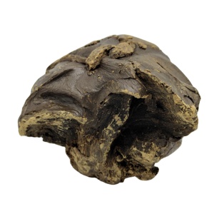 Extrait de <span class=keywords><strong>Propolis</strong></span> Brut en Vrac de Qualité Supérieure – <span class=keywords><strong>Prix</strong></span> Compétitif – Frais et Biologique – Fournisseur Direct - Product Image 2