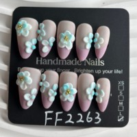 Lot de 10 faux ongles en gel peints à la main, magnifiques, de luxe, design personnalisé, faits à la main, à presser