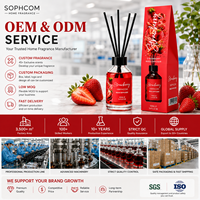Ensemble diffuseur de parfum de luxe pour la maison, diffuseur d'arômes, huile essentielle, bouteille en verre, désodorisant longue durée, coffret cadeau OEM ODM