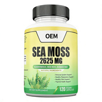 OEM/ODM Pilules de soutien pour la santé et l'immunité de la thyroïde Supplément à base de plantes Bladderwrack et racine de bardane Capsules de mousse de mer irlandaise