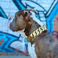 Großhandel Haustierzubehör Kubanische Gliederkette Hundehalsband Gold Massiv Schwer Robust Groß Edelstahl Metall Qualität Voll