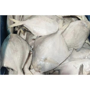 Poisson Pomfret Argenté Blanc <span class=keywords><strong>Prix</strong></span> Poisson Pompano Congelé Pomfrets Argentés Congelés - Product Image 6
