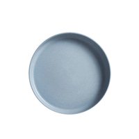 Assiettes réutilisables incassables en PP pour salade et dîner, sans BPA, compatibles micro-ondes et lave-vaisselle, design classique pour camping, barbecue et voyage