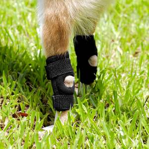 कुत्ते के लिए लेग संभालो हिंद पैर ओल और टखने के लिए फटे एसीएल और सीसीएल कुत्ते रियर पैर संयुक्त संपीड़न लपेटें चोट के लिए कुत्ते घुटने संभालो - Product Image 6
