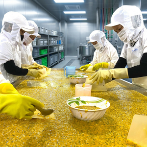 Jugo de Maracuyá Congelado de Primera Calidad, Procesado en Vietnam, 100% Fruta Natural, Sin Aditivos, Estándar de Exportación, Etiqueta OEM, IQF - Product Image 5