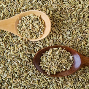 Chá de Erva de Funcho Seco de Alta Fragrância, Chá de Erva de Funcho Selvagem de Alta Qualidade, Chá de Erva de Funcho com Especiarias Naturais - Product Image 4