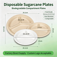 Assiettes en papier biodégradables à base de pulpe, plusieurs tailles, vente en gros, usage commercial, pour pique-niques et barbecues en extérieur