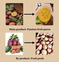 Industriële Grootschalige Fruitpulp Extractie Productielijn Fruitwasmachine Pulping Machine