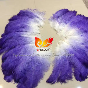 Plumes d'<span class=keywords><strong>autruche</strong></span> teinte pour le Costume de carnaval, 10 pièces, Photo de décoration zpdécor, qualité supérieure - Product Image 6