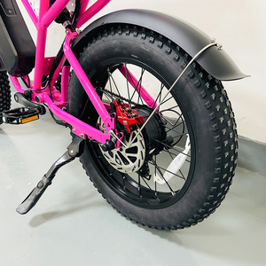 Bicicleta Eléctrica de Montaña Rosa de 20 Pulgadas, Motor sin Escobillas, Batería de Litio de 48V 20Ah, con Freno de Disco Hidráulico, 7 Velocidades - Product Image 3