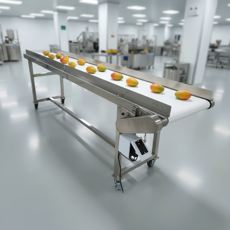 CE Steep Angle Conveyor Solution High