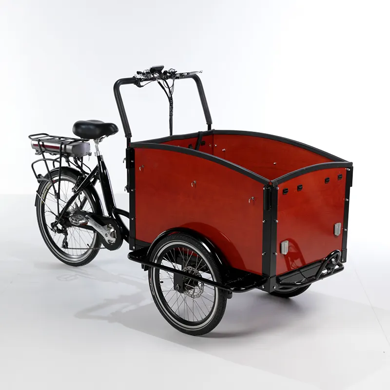 Fiets Elektrische Personenauto Driewieler Cargo Trike Met Drie Zetels Nieuwe Drie Wiel Volwassen Auto Modieuze Leisure Cargo Trike