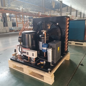 1hp 2hp 3hp di alta qualità piccola unità di condensazione Copeland AC compressore per il risparmio energetico di refrigerazione e di congelamento - Product Image 2
