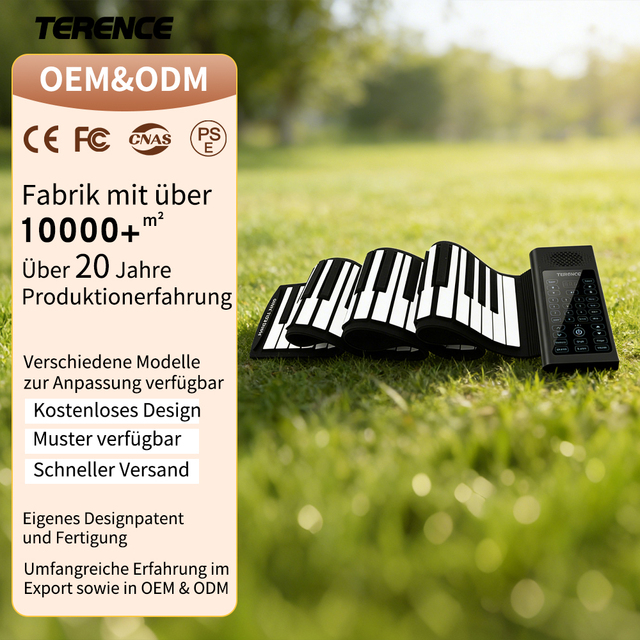 TERENCE Roll up Piano 61 Keys USB MIDI Keyboard HD Touchscreen 128 Tones 14 Demo Songs Portable