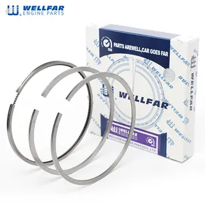 OE quality D2555 80001511000 Piston Rings for MAN