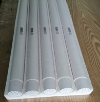 QSM Ultrafiltratie Concentratie Micropartikel Silica Sol 100nm Poregrootte Keramisch Membranefilter Buis Crossflow Filtratie 1