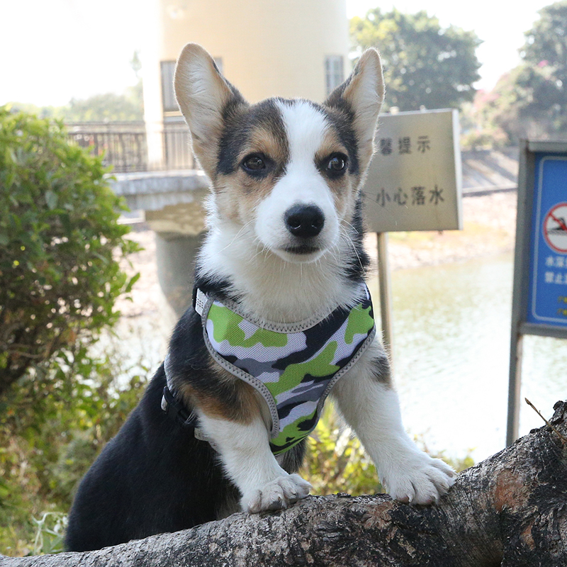 Fashionable Design Camouflage Hot Selling Pet Collar Adjustable With Reflective Stripe Harness Foe Pet Dog
