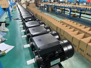 220V 1.1KW Single phase không đồng bộ <span class=keywords><strong>AC</strong></span> <span class=keywords><strong>Motor</strong></span> với bắt đầu Chạy tụ IP55 bảo vệ 3000 rpm 2-năm bảo hành ROHS chứng nhận - Product Image 2