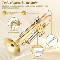 Factory Wholesale Bb Brass Body Gold and Silver Color Matched Phosphor Copper Tone Tube Trumpet With Case Set