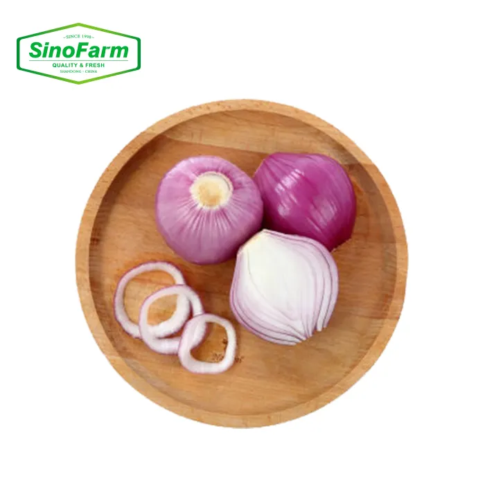 Prodotti agricoli naturali all'ingrosso verdure fresche cipolla bianca