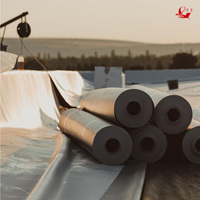 Membrane imperméable en PVC directement de l'usine avec épaisseur, largeur et couleur personnalisées pour l'imperméabilisation des toits verts